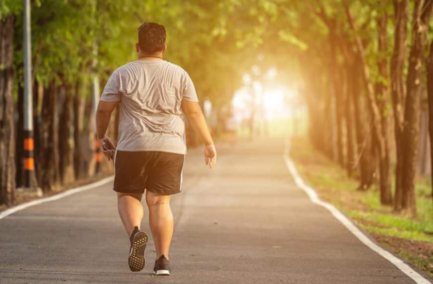 Home 2023 22 best walking shoes for overweight men